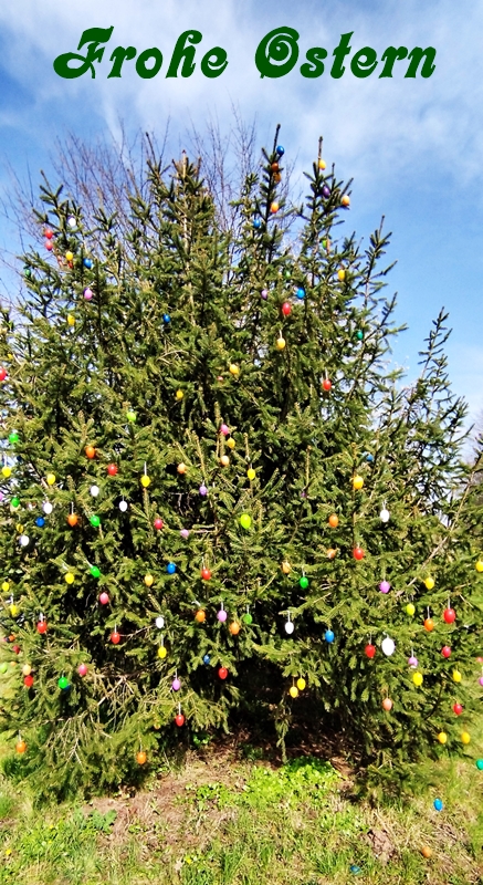 Kreiselbaumchen Holtensen fur Webseite 2026